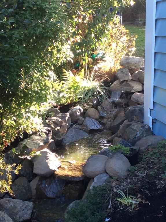 Castlewood Cottage Company Bay Exterior photo
